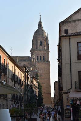 Catedral Velha e Catedral Nova de Salamanca torre