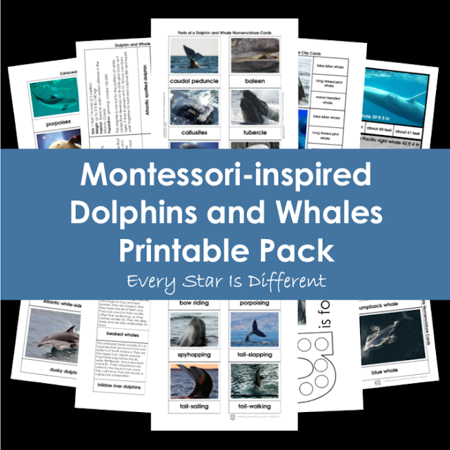 Dolphins and Whales Printable Pack