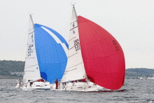 J/105 sailboats- sailing Ugotta Regatta