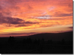IMG_5700