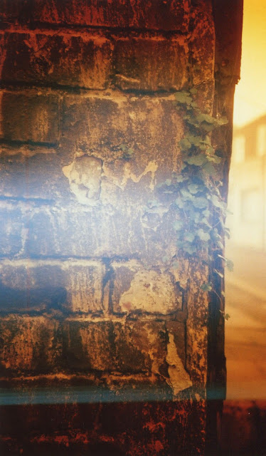 Redscale, brick, lomography, LC-A