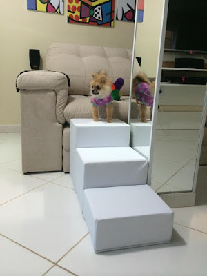 escadas para cães