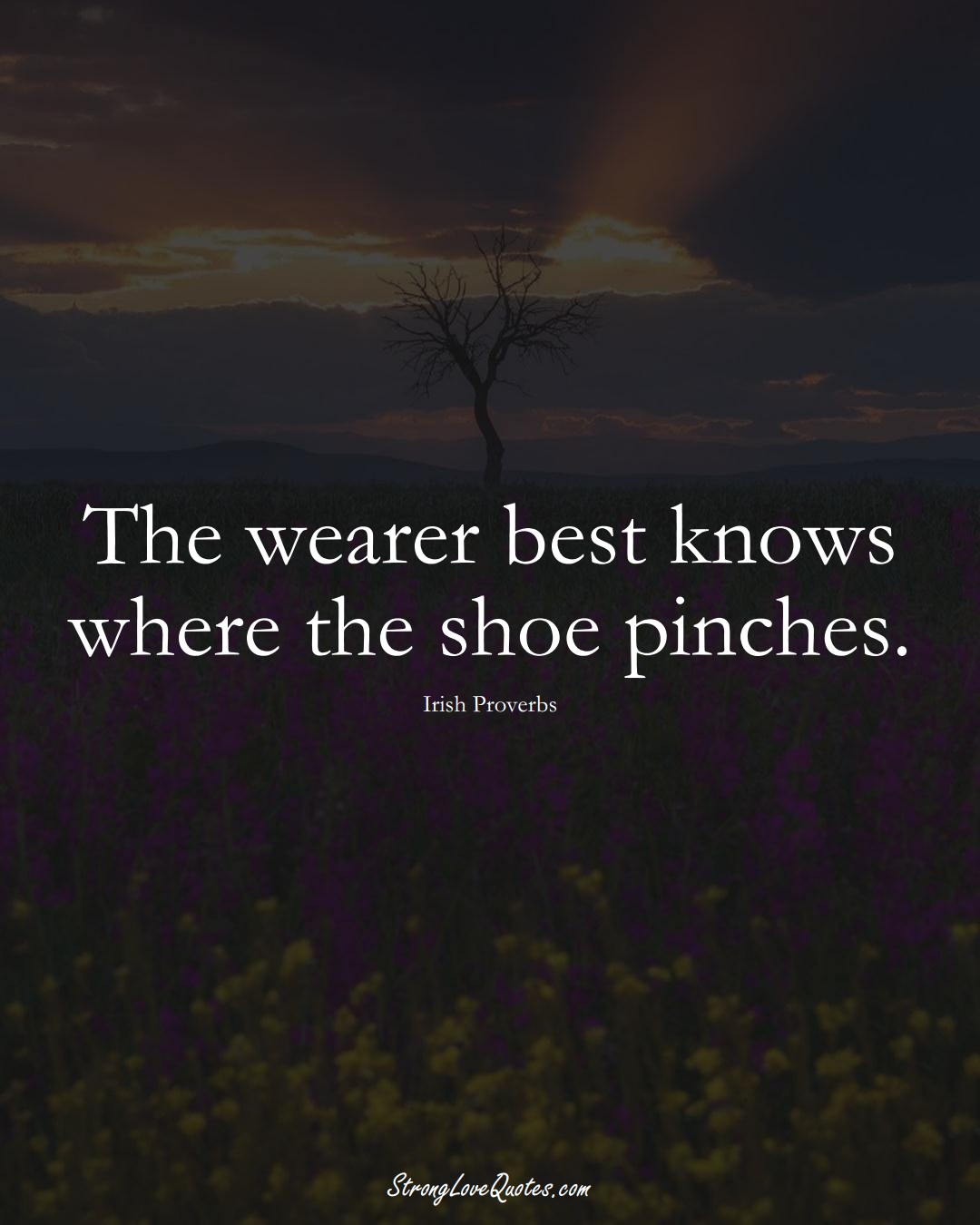 The wearer best knows where the shoe pinches. (Irish Sayings);  #EuropeanSayings