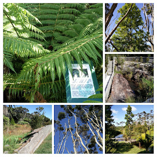 Photo Gumdiggers Parks Eco-Trail Northland Nouvelle-Zélande