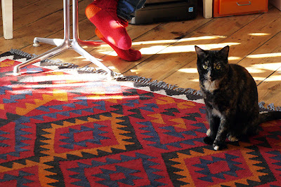 hand-woven wool rug with dark tortoiseshell cat