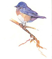 Pictures Of Birds To Paint