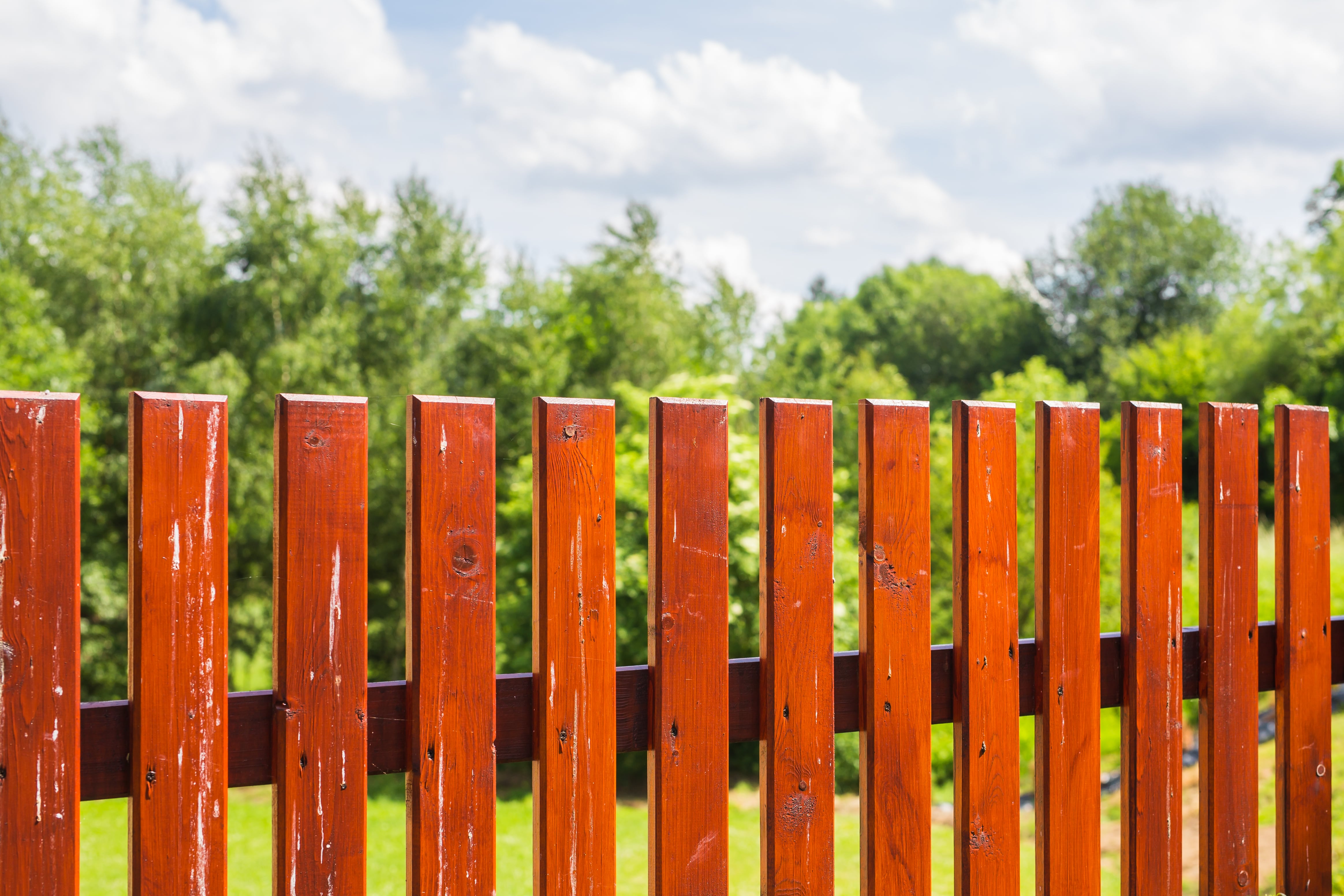 privacy fence