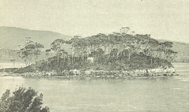 Deadman's Island - Port Arthur - Picture Taken in 1891
