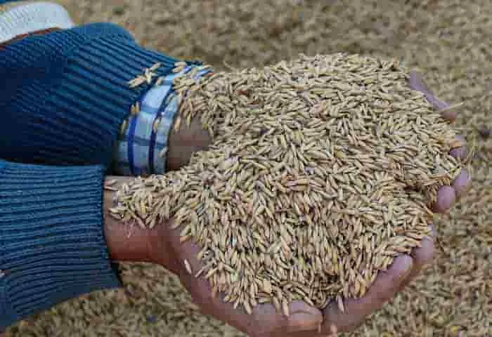 Centre to roll out free grain distribution to 81.35 cr NFSA beneficiaries from Jan 1, National,News,Top-Headlines,Latest-News,New Delhi,Food,Government.