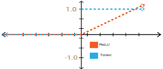 ReLU Fonksiyonu