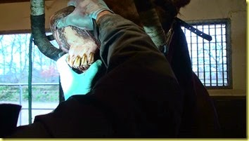 20141114121610-(1)