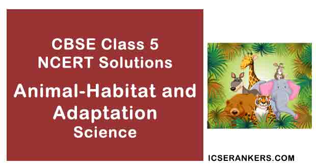 NCERT Solutions for Class 5th Science Chapter 2 Animal-Habitat and Adaptation