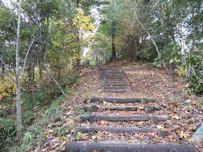 くろんど池 ふれいの森 遊歩道