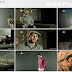 Insha Allah - Maher Zain [2010]  (English),(Türkçe),(Français) Videos [Ramzan Special]