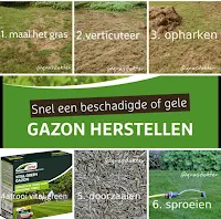 voorjaar gazon