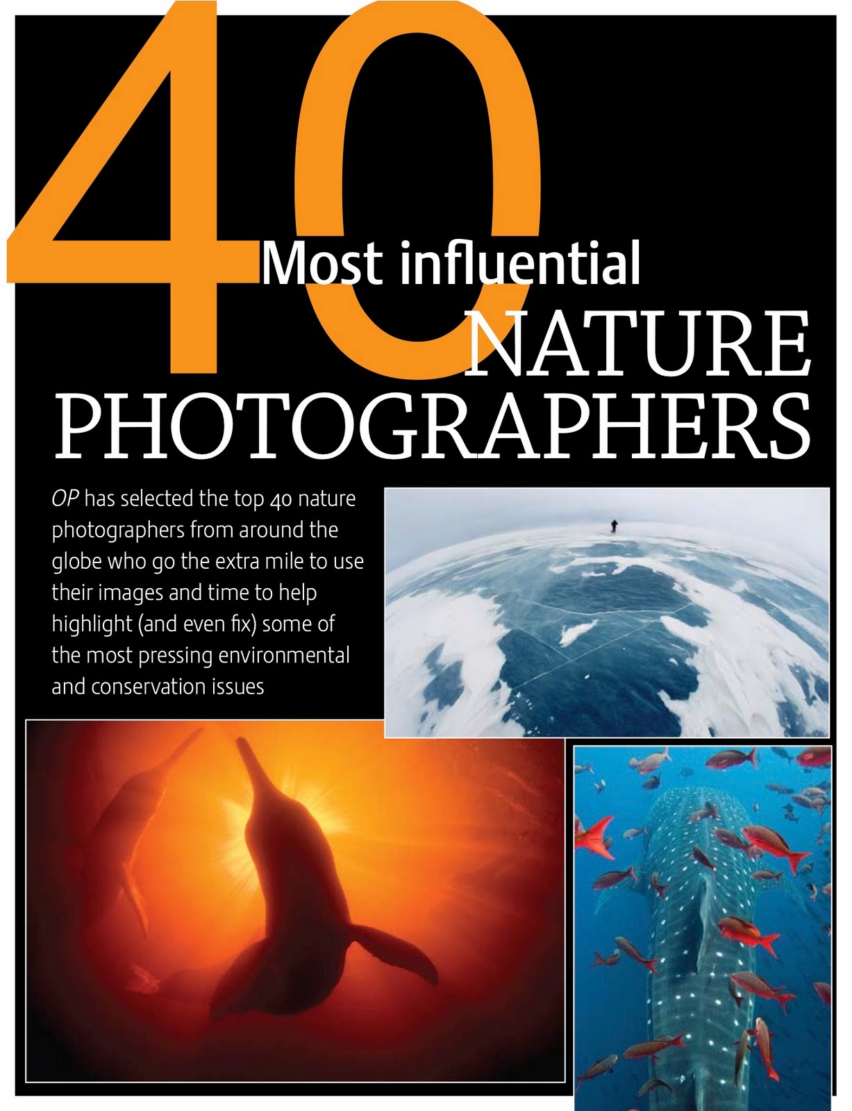 Outdoor Photography Names 40 Most Influential Nature Photographers