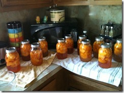canning