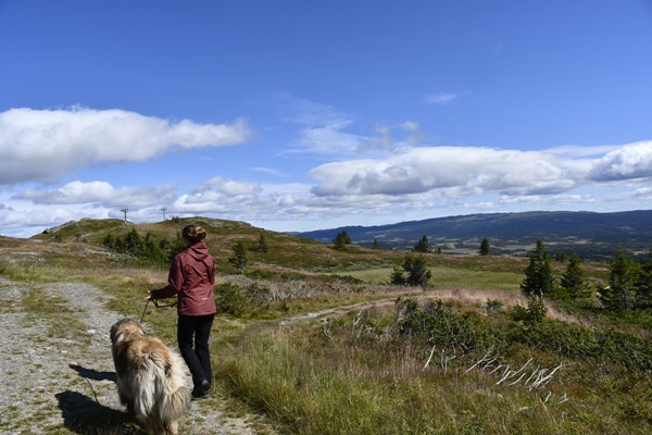 storefjell golsfjellet