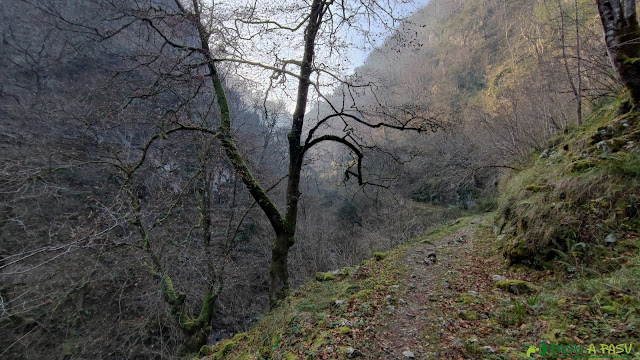 Nos acercamos al Rio Pendón