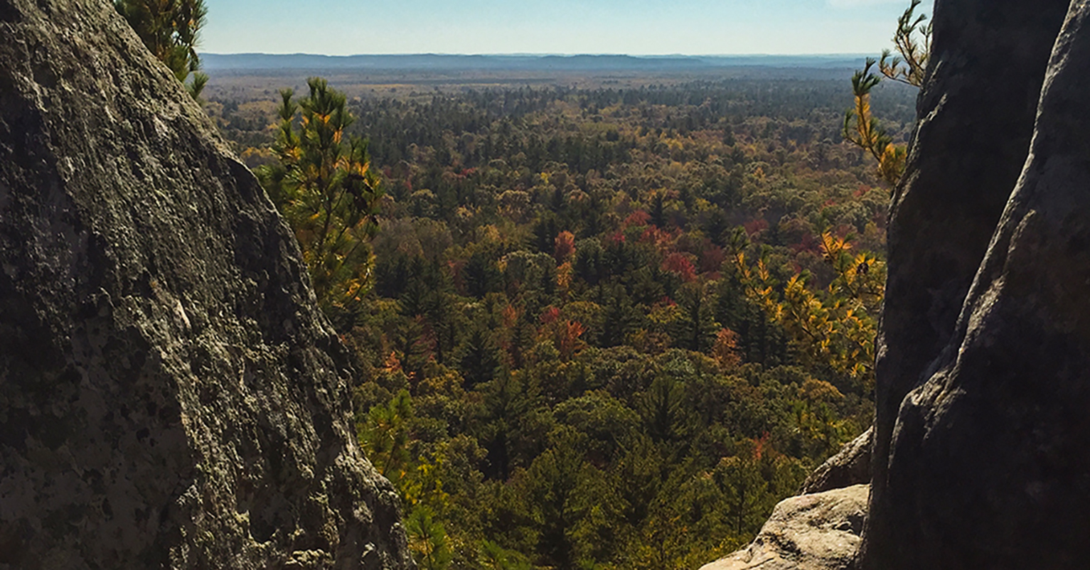 Black River State Forest