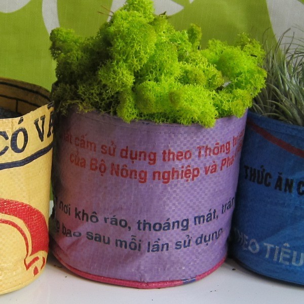 Bag Planters9