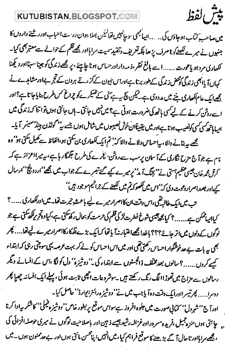 Preface of Shehr-e-Dil Urdu Novel