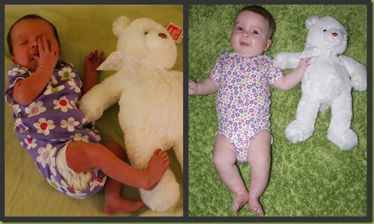 14 week comparison