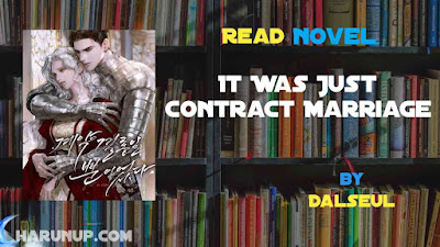 It Was Just Contract Marriage Novel