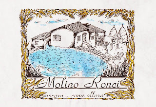 http://www.molinoronci.it/homepage.php