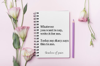 My Diary-Shadow of pain