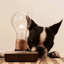 FLYTE | A Levitating Light