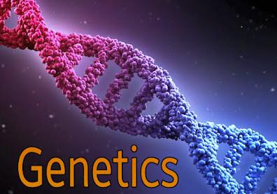 Genetics image, Definition of genetics