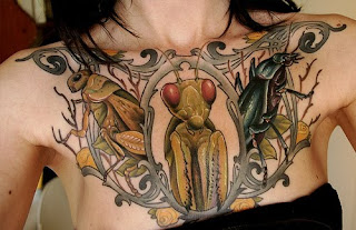 Sexy Girl With Design Insect Tattoo Art Picture On Chest Tattoo