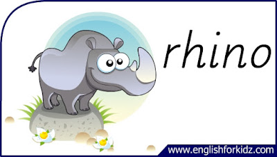 rhino flashcard