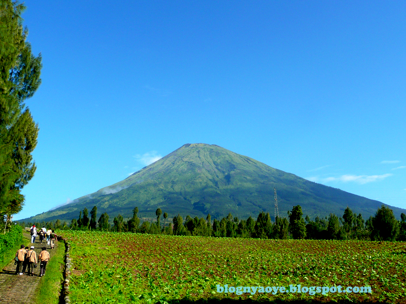 paket wisata di bali