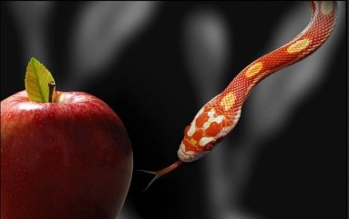 Manzana y serpiente