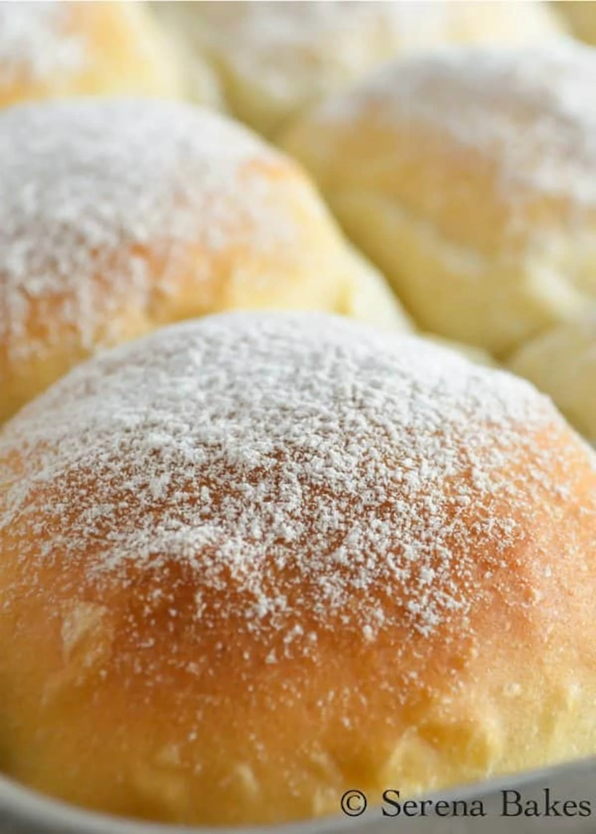 A side shot of Potato Dinner Rolls baked in a pan.