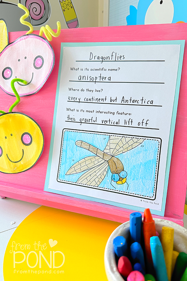 Dragonfly facts for first grade