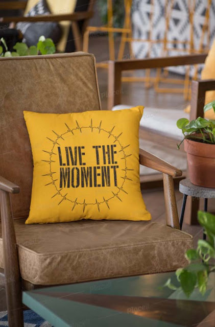 Decorative Pillow covers