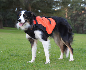 High visibility safety chest protector