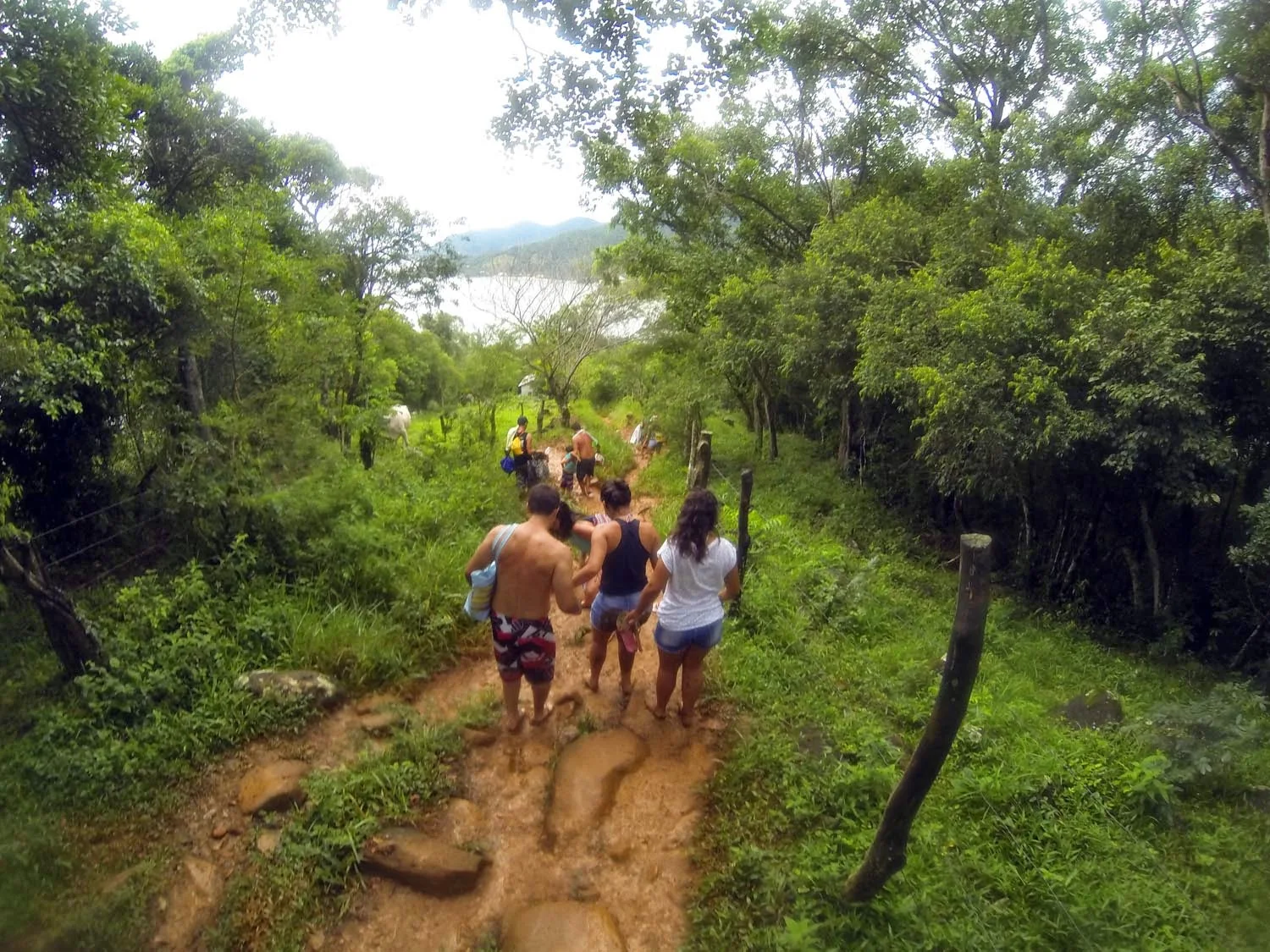 Praia de Naufragados