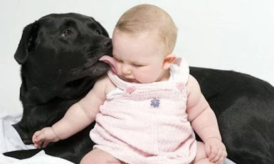 cute pics of pets and babies Seen On www.coolpicturegallery.net