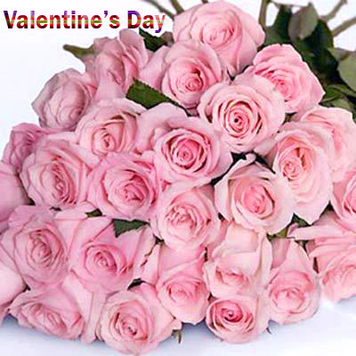 Romantic Pink Roses on Valentines Day Images