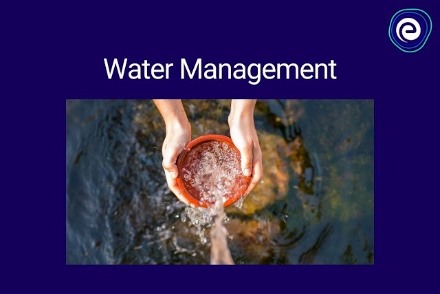 Watershed Management: पाणलोट व्यवस्थापन 