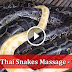 Thai Snakes Massage In Thailand