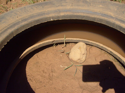 Detalhe de um pneu com água dentro, há uma pequena pedra no meio e a sombra da mão de Marcos segurando a câmera.