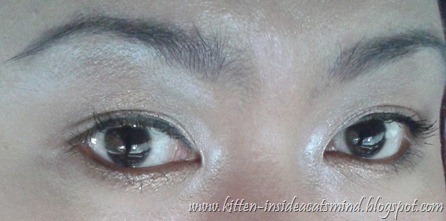 eotd