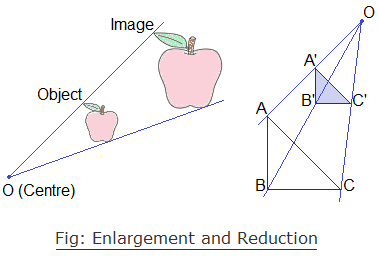 Fig: Enlargement and Reduction