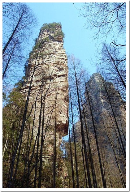 (Southern Sky Column). 2