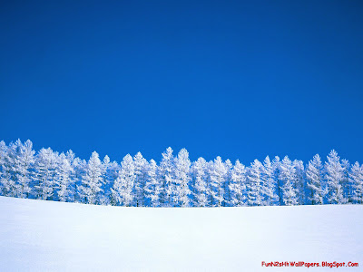 Winter Wallpapers HD Free